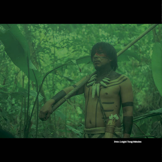 El Ultimo Chaman - Brochure 20x20 - 202212