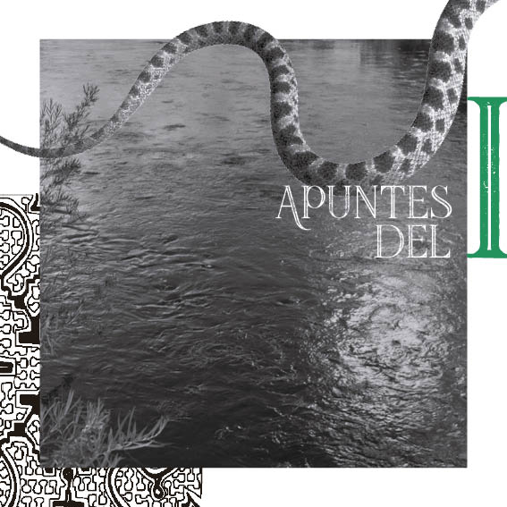 El Ultimo Chaman - Brochure 20x20 - 20226