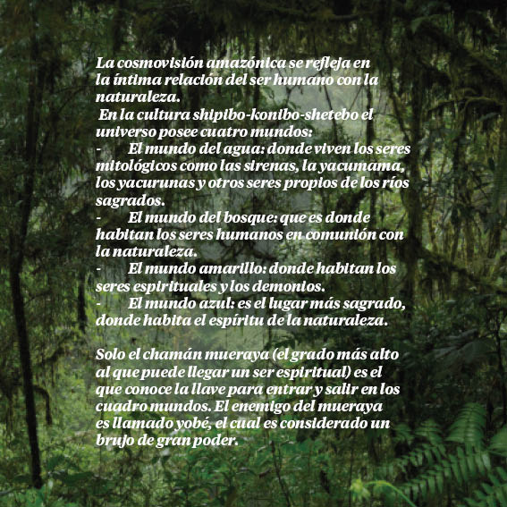 El Ultimo Chaman - Brochure